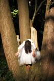 Sous bois 45 * 5184 x 3456 * (8.69MB)